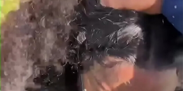 ebony,police